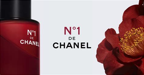 chanel pollux|Chanel .